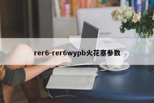 rer6-rer6wypb火花塞参数